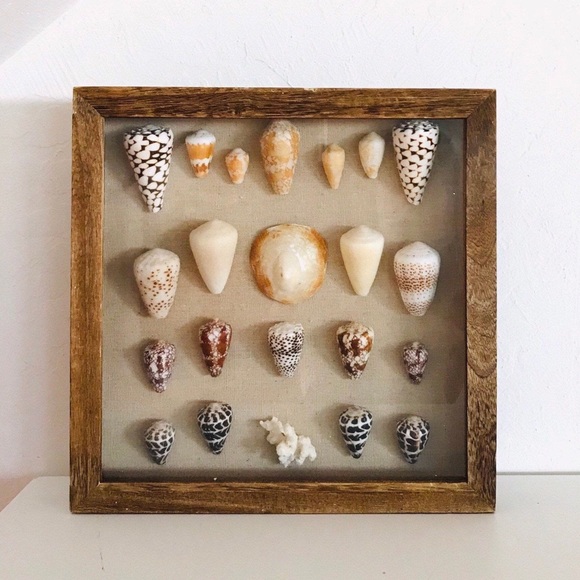 Rare Hawaiian Shell Art Shadowbox - Picture 2 of 3